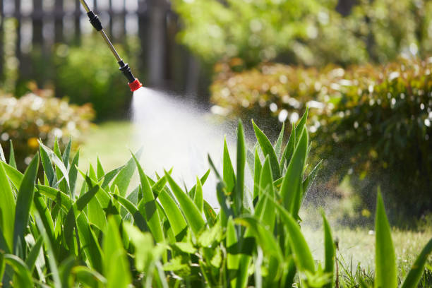 Tamper-Resistant Bait Stations for Rodents in West Whittier-Los Nietos