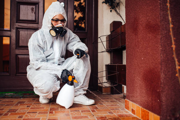 Attic and Crawl Space Rodent Treatment in West Whittier-Los Nietos